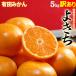  Arita мандарин есть перевод .......( примерно 5kg) Wakayama Arita производство . для бытового использования Arita мандарин 5 kilo mi can меласса . мульти- покрытие еда фрукты фрукты мандарин разделение есть перевод есть 