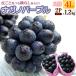 nagano лиловый 4L×2.( примерно 1.2kg) Nagano производство превосходящий товар ... .-.. виноград виноград .. кожа .. вид нет nagano purple фрукты фрукты виноград подарок ... предмет 