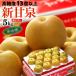  новый . Izumi груша 12-14 шар ( примерно 5kg) Tottori производство красный превосходящий большой шар ...... груша нет нет pear свет сенсор сахар раз 13 раз и больше новый . Izumi еда фрукты фрукты мир груша красный груша осталось жара видеть Mai . подарок 