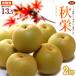  осень . груша 5-6 шар ( примерно 2kg) Tottori производство превосходящий товар .... груша нет нет pear свет сенсор большой шар осень . еда фрукты фрукты мир груша красный груша осталось жара видеть Mai . подарок ......