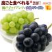  Seto ja Ian tsu&nagano лиловый 4L×2.( примерно 1.3kg) Okayama производство / Nagano производство превосходящий товар ........... .-.. виноград виноград .. кожа .. вид нет еда фрукты 