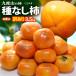  есть перевод вид нет хурма ( примерно 3.5kg) Wakayama префектура 9 раз гора производство .. нет хурма вид нет хурма вид нет только . хурма .. устрица persimmon flat . нет обычный ... для бытового использования разделение есть еда фрукты фрукты 