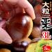  каштан 3L ( примерно 5kg) Kumamoto * Ehime * Ibaraki производство крупный мир каштан сырой каштан ..kli еда фрукты фрукты каштан 5 kilo . покупка 