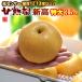 .. новый высота груша 6L ( примерно 3.5kg) производство земля. оставив решение кому-то другому превосходящий товар сахар раз 12 раз и больше груша нет нет pear очень большой новый высота груша еда фрукты фрукты мир груша новый высота 