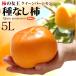  Queen pa-simon5L ( примерно 4kg) Wakayama производство превосходящий товар вид нет хурма .. нет хурма вид нет хурма вид нет только . хурма .. устрица persimmon большой шар еда фрукты фрукты хурма подарок ....
