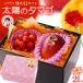  День матери подарок солнце. tamago(2L×1 шар / примерно 350g и больше ). Yamagata вишня Sato .(M шар × примерно 100g) комплект превосходящий товар sa Clan bo манго День матери подарок 