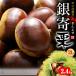  серебряный . каштан 2L ( примерно 2.4kg) главным образом Ehime * Kumamoto производство .... серебряный . крупный мир каштан ..kli еда фрукты фрукты каштан серебристый yose