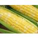 [ reservation currently accepting ]...( can can .) 2 kilo finest quality LLA rank 1 pcs 400g and more 5 pcs insertion Yamanashi prefecture Ichikawa Misato production corn 