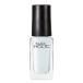 NAIL HOLIC(ネイルホリック) オーロラグリッター マニキュア WT062 5ミリリットル (x 1)