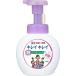 ライオン　キレイキレイ薬用泡ハンドソープ　フローラル　ポンプ　250ml