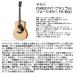 YAMAHA ���}�n �A�R�[�X�e�B�b�N�M�^�[ FS-800 NT