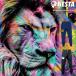( весна лето ) Nesta стрейч брюки ICYDEO NEW-13P NESTA NEW13P