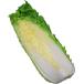  Chinese cabbage ( is ...* Haku rhinoceros ) 1/4 cut [ Kyushu production ]