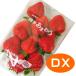 [ клубника ]....DX( Deluxe ) 1 упаковка Fukuoka производство ( Hakata ....)1
