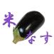  rice eggplant (.. eggplant * eggplant ) 1 sphere [ Kochi production ]