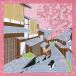  передний рисовое поле .. Tama. . прогулка Sakura (4 месяц )Cherry blossoms сделано в Японии сезон. маленький furoshiki type .. мир рисунок 4 сезон носовой платок гобелен ланч Cross пчела трещина белый чёрный кошка модный 