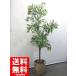  юридическое лицо ограничение бесплатная доставка искусственная зелень офис зеленый декоративное растение интерьер зеленый человеческий труд декоративное растение H1700 б/у 
