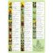�^���b�g�J�[�h�������~�� TAROT KEYWORDS MAT