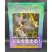 fea Lee карты таро FAIRY TAROT CARDSdo Lee n* береза .- предсказание стандартный товар 