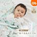  одеяло swa доллар / year ob The шланг *../3 листов [ бесплатная доставка Okinawa * часть регион за исключением ] хлопок 100% младенец 