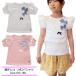 ڥ᡼̵۽λ Ҷ ٥ƥ쥳 ܥ Ⱦµ T cl3-1831 110/120/130/Ciel eternel//꡼
