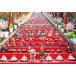 300 деталь составная картинка серии японский город 6 Chiba префектура .. город [ Hinamatsuri ] (26x38cm)