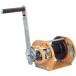 MAXPULL ư ( GM-1  (100KG襦) ) ޥåץ빩()