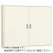Nito ѥӥͥåϪз 1 ( B20-99-2C ) (᡼)