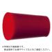 IWATA ߿ץ饰A HBAS120-P 10 ( GK0472X0748-P ) ()