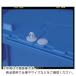 󥳡 ƥʡѥå 890913 եʡ6  ( SKSF-6-WHNA )