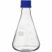 HARIO Ǯͤѥե饹 500ml ( NSF-500-SCI )