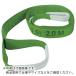 TRUSCO ٥ȥ 狼륹(ξü)35mmX2.5m ( TBS3E35-25 ) ȥ饹滳()