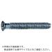 TRUSCO Ƭȥ륯åԥͤ Ƭ SUS410 D=6 Ⱦͥ M4X30X25 210 (ƥ쥹) إѥå ( S064-0430 ) (᡼)