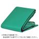 TRUSCO ƥȥå 1t 2100mmXĹ3.1m ( TETS-1 ) ȥ饹滳()