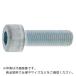 SUNCO CAP(ϻѷդܥ)(P1.25 10145 (1)  ( A0-00-0004-0100-1450-00-1 )