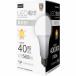 ϥǥ LEDŵ(ŵ40) ( HDLED40W5000K ) ()
