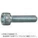 TRUSCO ϻѷեܥ ˥ ͥ M620 10 ̥ѥå /åץܥ(CAP) ( Y806-0620 ) ȥ饹滳()