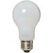 YAZAWA Ĺ̿ꥫ20W  ( LW100V20WWL )