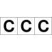 TRUSCO ե٥åȥƥå 3030 C /ʸ 3 ( TSN-30-C ) ȥ饹滳()