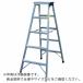 NAKAO ѵΩ ŷĹ⤵0.57m ( AS-60 ) ()ʥ (᡼)