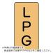 ˥å ۴ɥƥå LPG()  8040 10 ( AST-4-21S ) ˥å() (᡼)