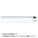 ���Ł@�����g�_����p�u�������v ( FHF32EX-N-H )(25�{�Z�b�g)