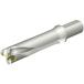 SANDVIK ɥDS20򴹼ɥ(465) ( DS20-D4285LX38-04 (465) )  ( N1O21 )