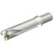 SANDVIK ɥDS20򴹼ɥ(465) ( DS20-D4445LX38-04 (465) )  ( N1O33 )