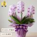 �Ӓ��� ����3�{���� ���j�� �J�X�j�� �a���� ��̓� ���̓� �h�V�̓� �M�t�g �v���[���g �� �� ���A�� �Ԕ� 2026 ����