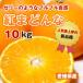  Ehime префектура производство .. какой . такой же товар вид ... царапина немного размер не комплект L~M10 kilo no- воск 5 kilo коробка 2 коробка 