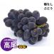  Yamagata префектура виноград Takao Special превосходящий товар примерно 1.8kg 4~5. Asahichou . пестициды 9 месяц средний .~ последовательный отправка 
