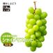  Yamagata префектура виноград автомобиль in мускат .. для примерно 1.8kg 3~5. Asahichou . пестициды 10 месяц сверху .~ последовательный отправка 