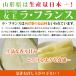 �R�`�� ���E�t�����X �G�i �����p ������ M�T�C�Y 3kg 13~14�� 10�����{�`�������� �֘A�摜1