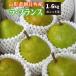  Yamagata префектура la* Франция превосходящий товар .. для Asahichou 3L 1.6kg 5 шар 10 месяц последняя декада ~ последовательный отправка 